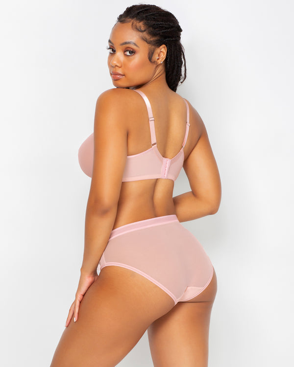 Sheer Mesh High Cut Brief - Blushing Rose